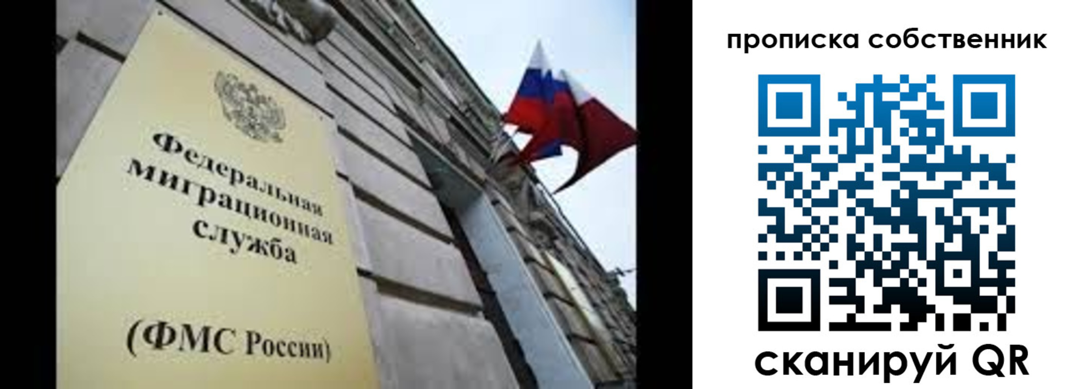 прописка гарантия в Чите